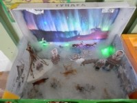 �����������