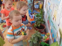 �����������