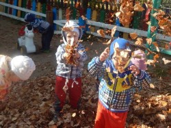 �����������