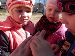 �����������